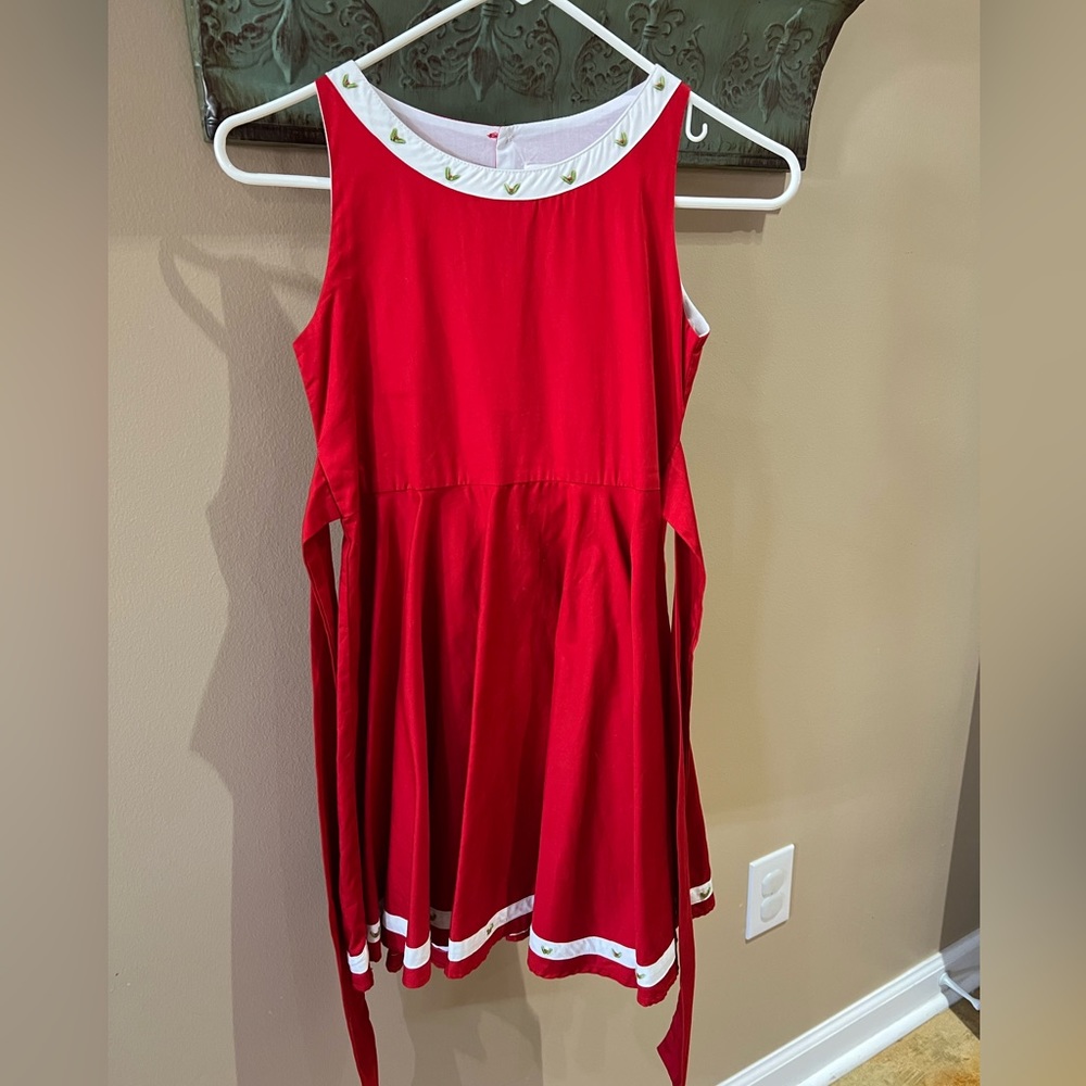 Size 10 Well Dressed Wolf Christmas Holly Dress